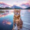 KittyGlitter