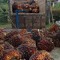 Suparmen