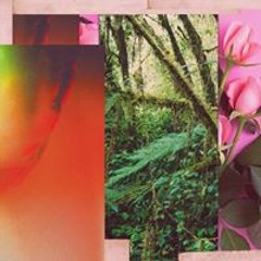 菅野泰聖
