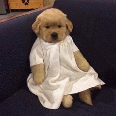 지ㅇㅗ니