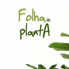 Folha De Planta