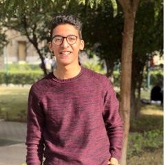 Ahmed Emad