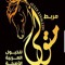 ايمن متولي
