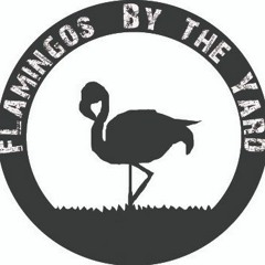Flamingos By The Yard