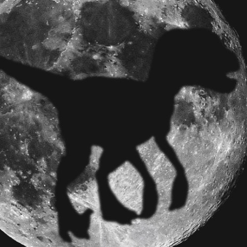 badass velociraptor on the moon’s avatar