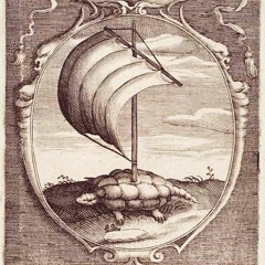 6 DONNA TOAD 9 radio