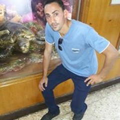 شمس الشروق الصباح
