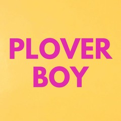 PLOVER BOY