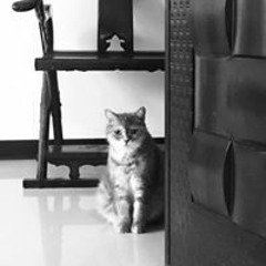 Lilian Shih