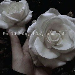 thanh.
