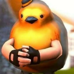 bird.2234232