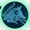 Saint Sertified Music