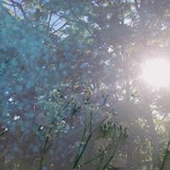 市川諒香