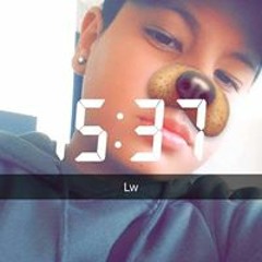 fabi