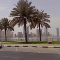 محمد ميرغني بشير