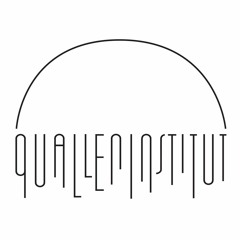 Qualleninstitut
