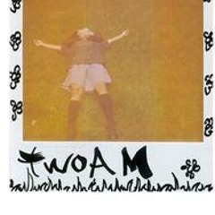 Nicholas G g Rohmer1