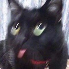 강민