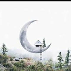 Shaima Ahmed