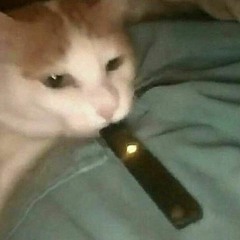 ʀᴀᴍᴇɴ