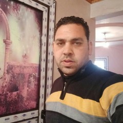 هشام عزت