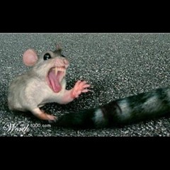 annoyingmouse