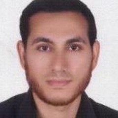 Mohammed Glal Elnaggar