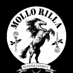 Mollo Rilla