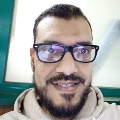 Hisham Nagy Sakr