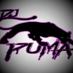 Dj-Puma Mix-Peru