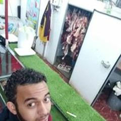بدار البوشى