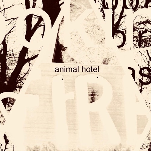 Animal Hotel’s avatar