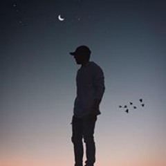 Phạm Lê Nhật Triều  ­