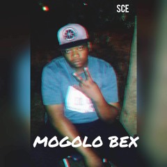Mogolo Bex