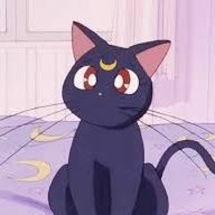 Miaaaoww