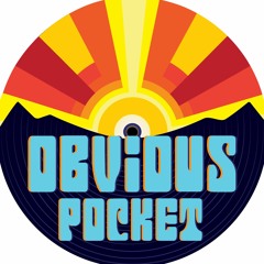 Obvious Pocket
