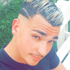 noam avitan