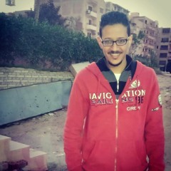 Hasan M. Ali