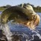 fishing_god