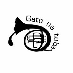 Henrique Félix Gato na Tuba