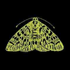 Moth Radio Extra: An Interview with Anthony Griffith