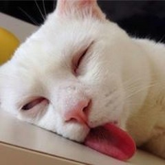 Bùi Tường Vi