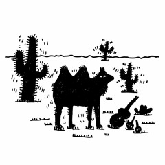 Cashmere Jungle Lords