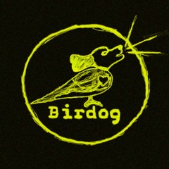 BirdogDemos