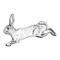Agile Rabbit