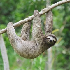 Tristan van Dinteren