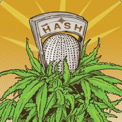 The Hash Podcast