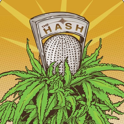 The Hash Podcast’s avatar