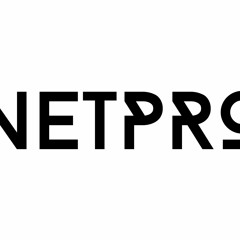 NetPro Plus LLC