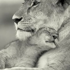 In The Motherhood CKUT 90.3FM